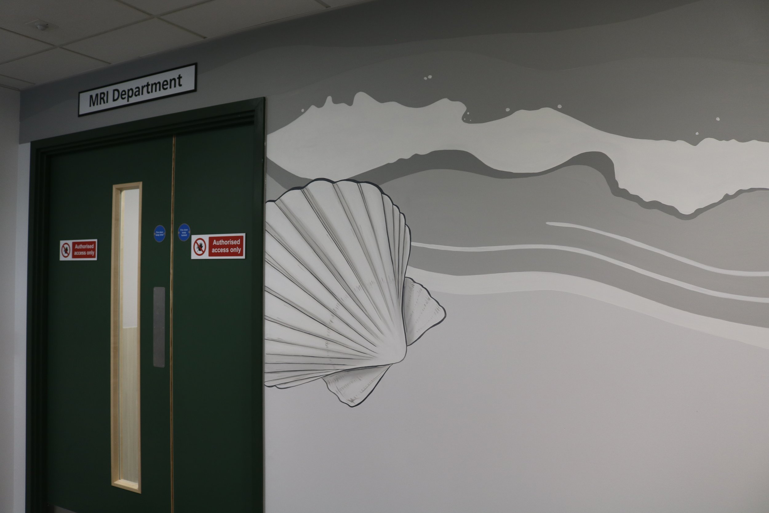 Murals at the New Plymouth Community Diagnostic Centre 