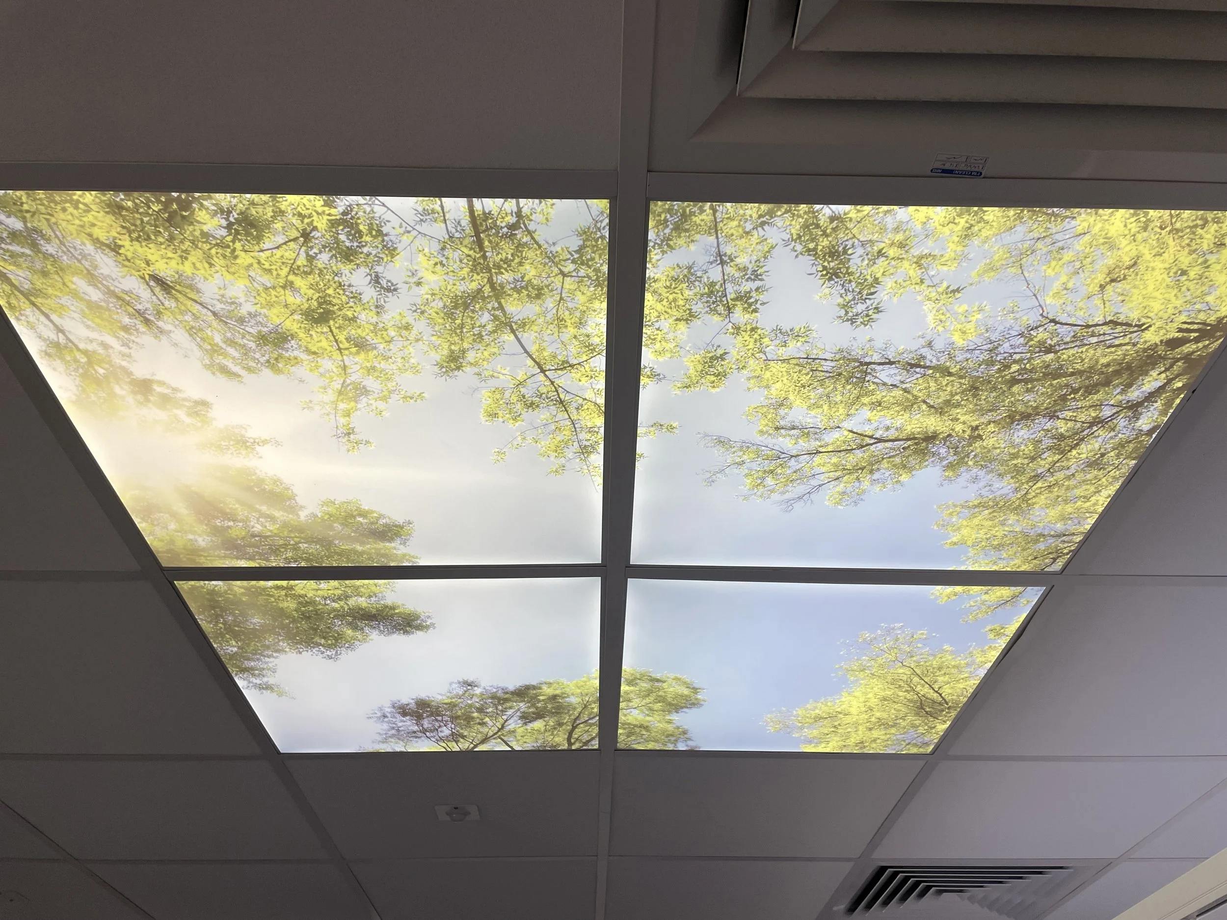 Ceiling lights bring a little sunshine to Postbridge 