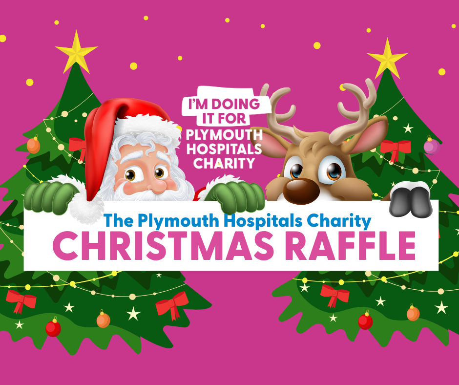 Santa and a reindeer peek over a "Plymouth Hospitals Charity Christmas Raffle" banner against a festive pink background with decorated trees.