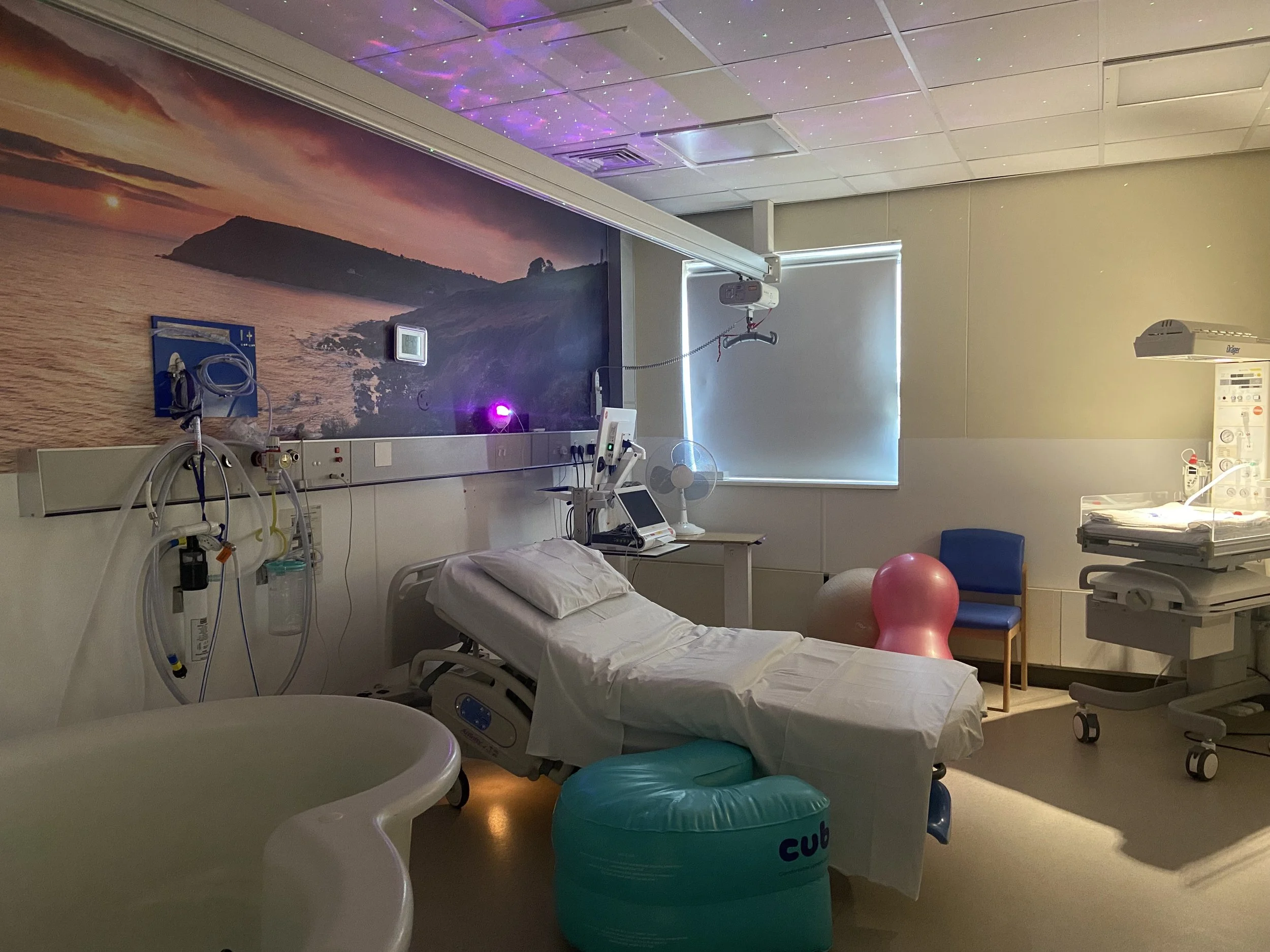 Empty hospital room with a bed, medical equipment, and a calming ocean landscape mural on the wall.