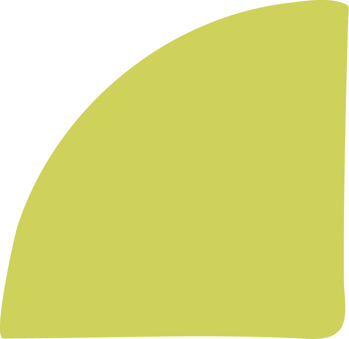 Quarter circle icon in lemongrass colour