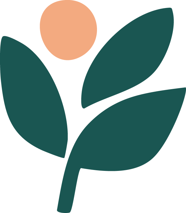 Solway Vision icon