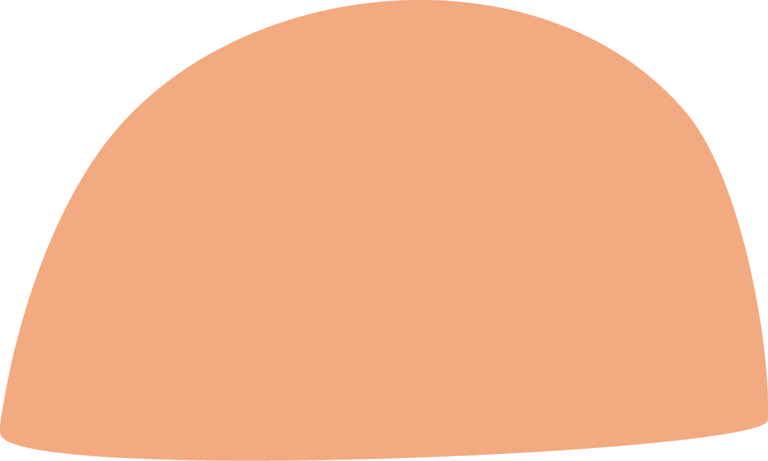 semi circle icon in orange colour