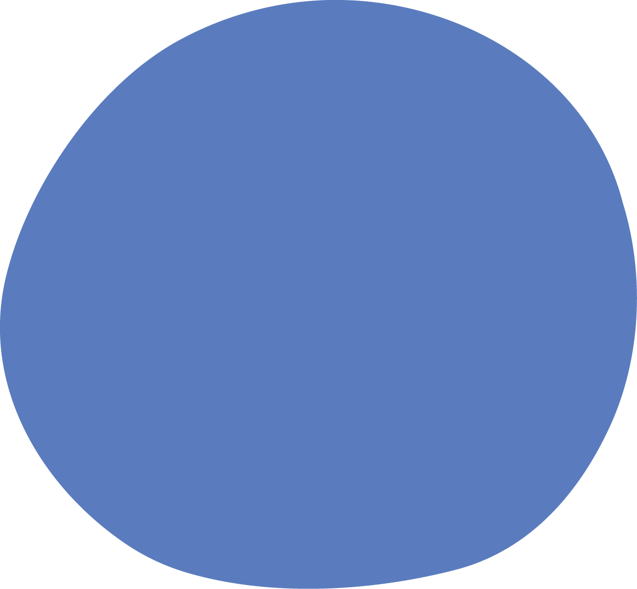 Circle icon in blue colour