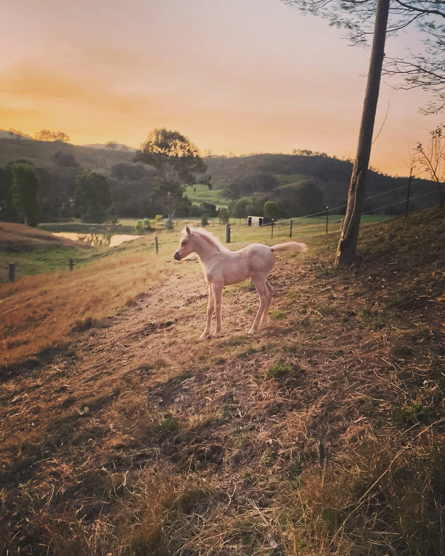 🌿Forgiveness is one of the most powerful acts of self-liberation. It doesn&rsquo;t mean forgetting or excusing the pain caused&mdash;it means choosing to no longer carry the heavy energy tied to it. When we forgive, we release ourselves from the emo