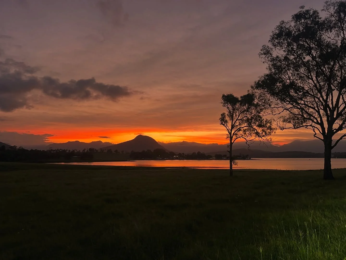 🌿Right now, many of us are feeling deep mental and emotional shifts rising to the surface. Old patterns, unhealed emotions, and collective energies are being stirred so that they can be acknowledged, felt, and released.

🌿The key is not to suppress