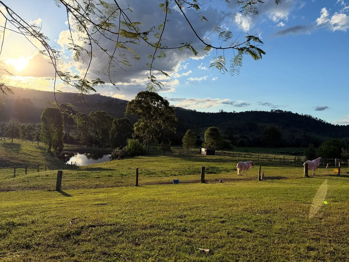 ✨Don&rsquo;t be afraid to start something new because of the fear of failing. Every step &mdash; no matter how big or small &mdash; is a leap of faith toward growth and possibility. You never know what magic might unfold when you choose to take that 