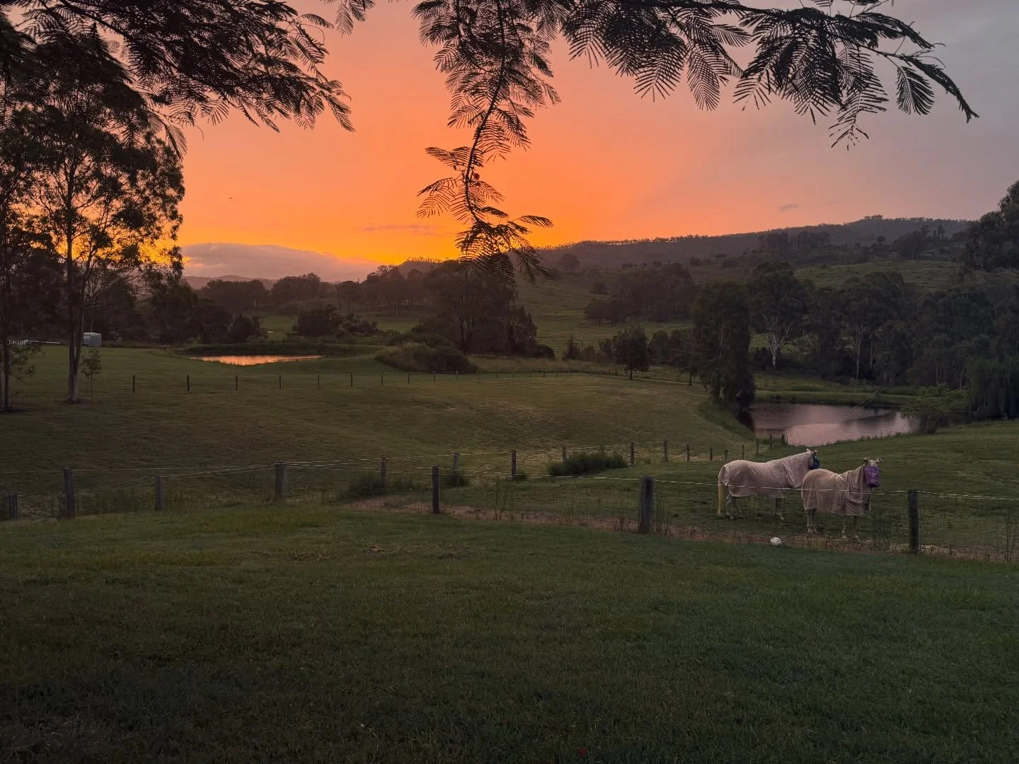 🌿Stillness is the gateway to your inner intelligence.

🌿When the mind quietens and the noise of the external world softens, your innate wisdom becomes accessible. 

🌿In stillness, you reconnect with the subtle signals of your body, intuition, and 