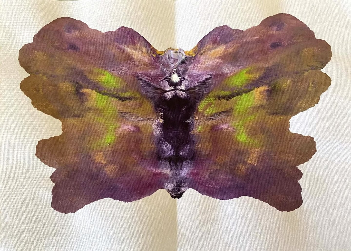 Another year another butterfly 2026 🦋 I love how she reads 🤍🪽 I love to experience others amazing gifts .. Another big year on the cards &hellip;