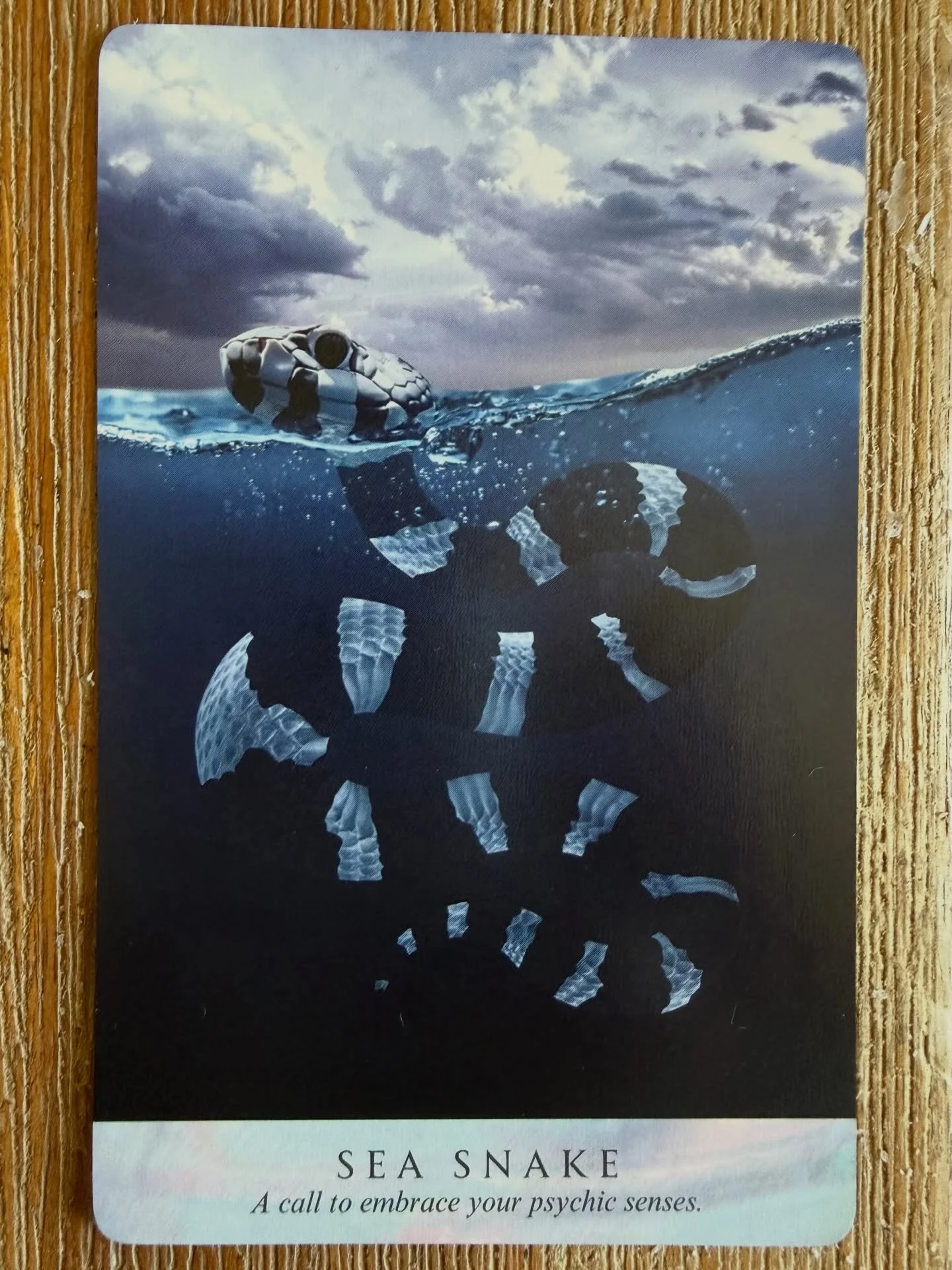 ✨SEA SNAKE✨

💫You are in a space of embracing your psychic senses.
Psychic Senses, Intuition.

🌱The spirit of the Sea Snake embodies the flow of psychic energies. Unlike most marine animals that have adapted to aquatic life, the sea snake&rsquo;s s