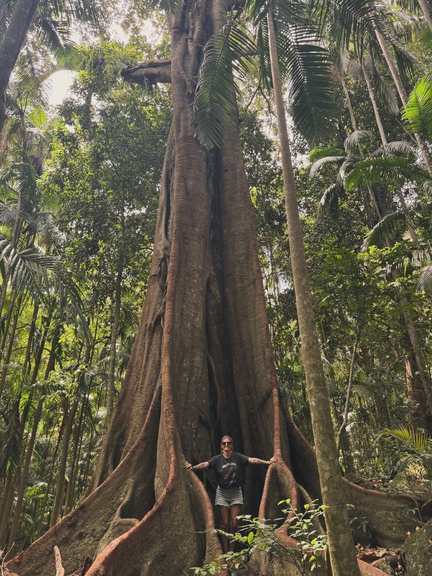 She is Beautiful 😍 🌳 #peace #energyreset