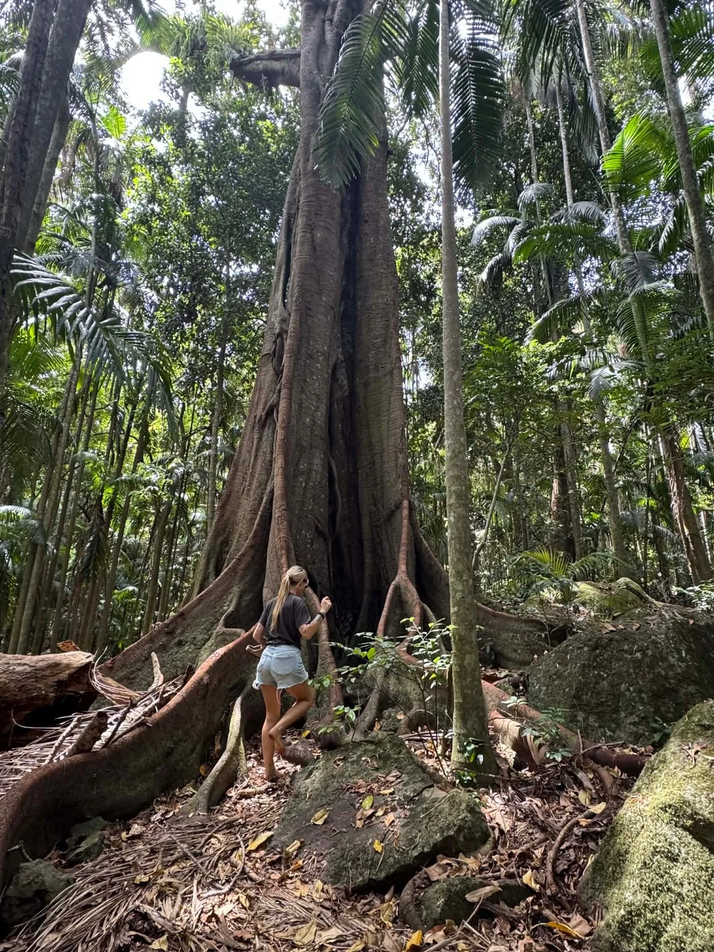 🌿Getting into the flow of life is about moving with life instead of forcing it.

🌿It&rsquo;s trusting your intuition, acting when the energy feels right, and releasing the need to control every outcome. Flow feels lighter, calmer, and more aligned 