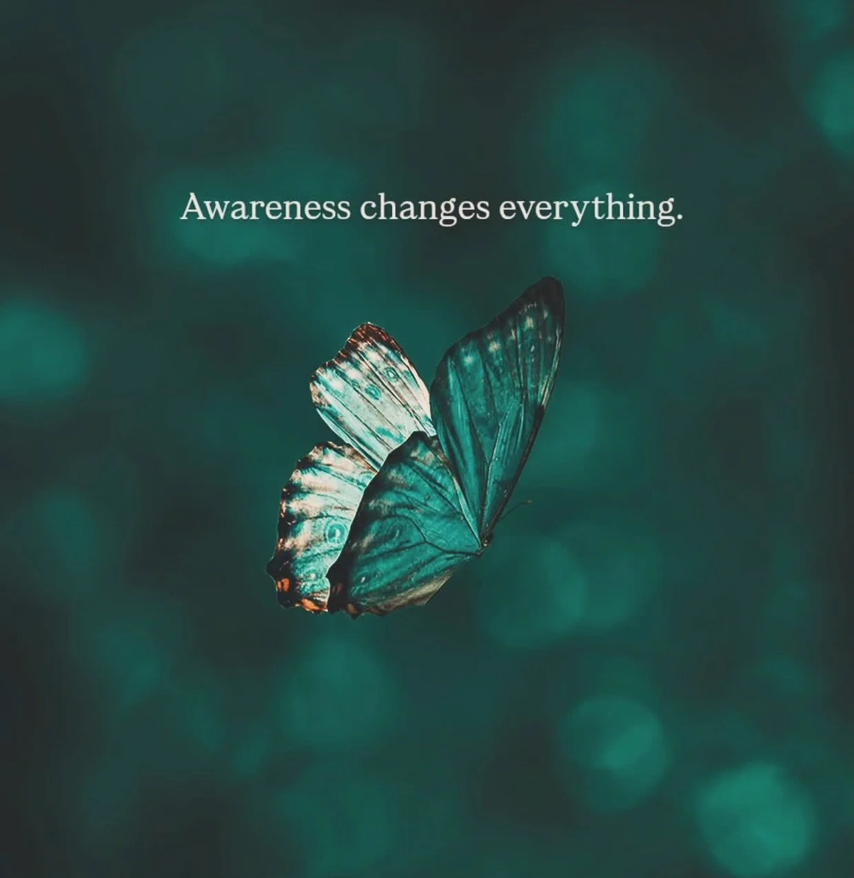 🩷❤️🧡💛💚🩵💙💜