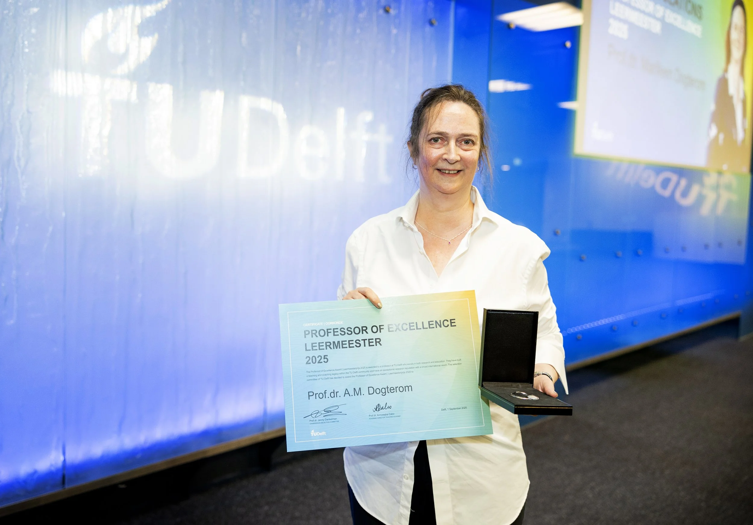 Marileen receives TU Delft Professor of Excellence Award 