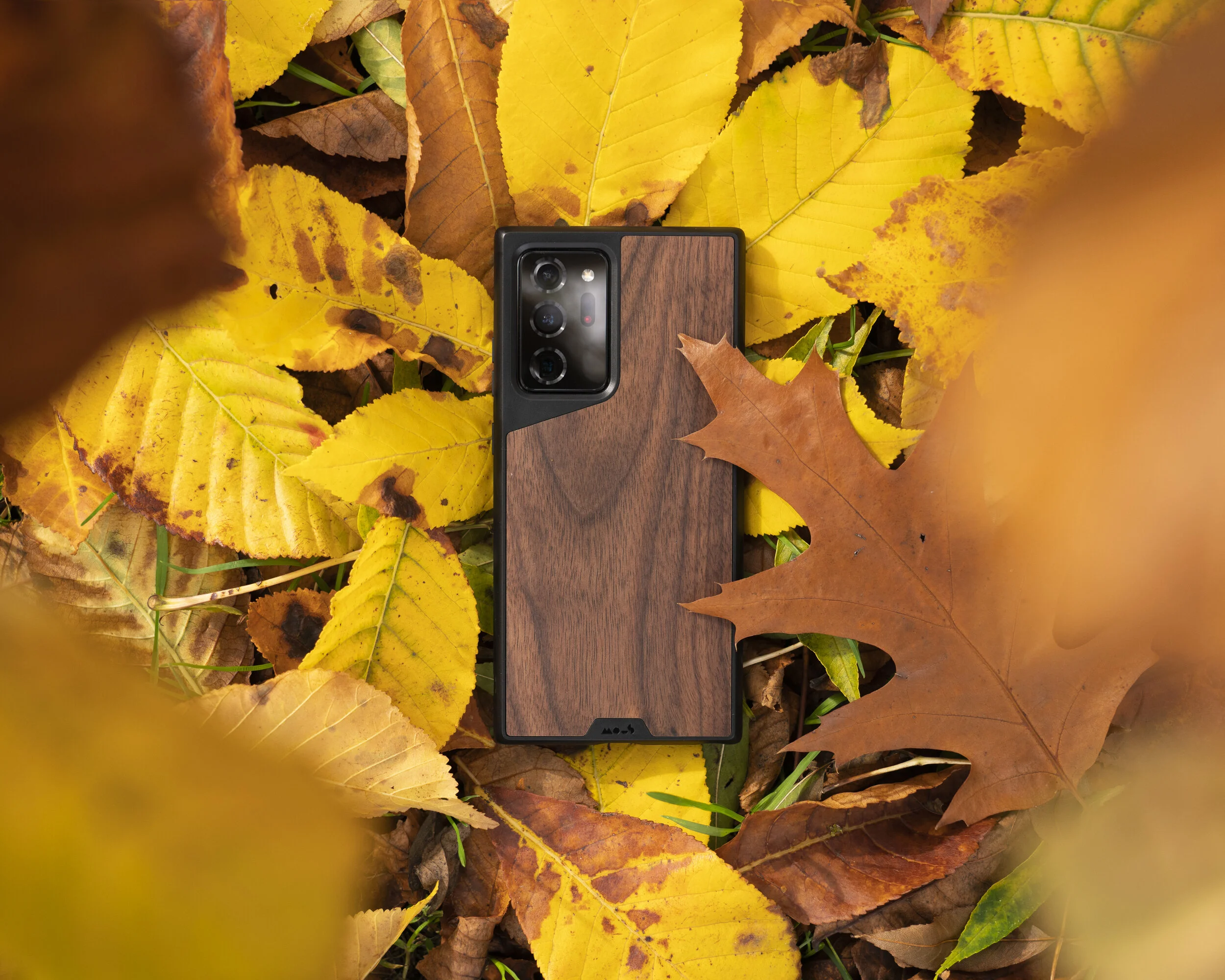 Note20Ultra_Autumn_Leaves_5x4.jpg