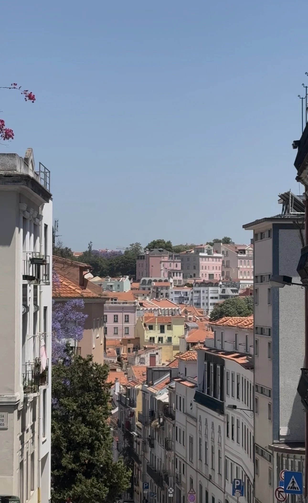 Lisbon guide