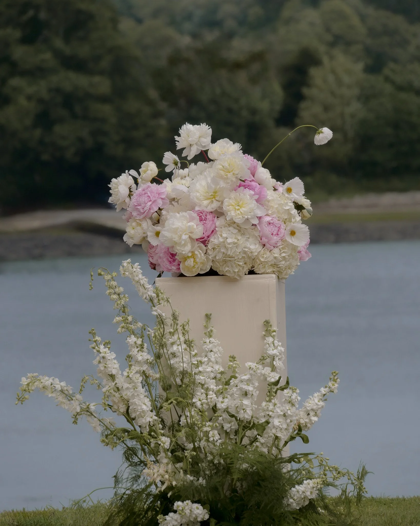 P1933475-2-Edit.jpg