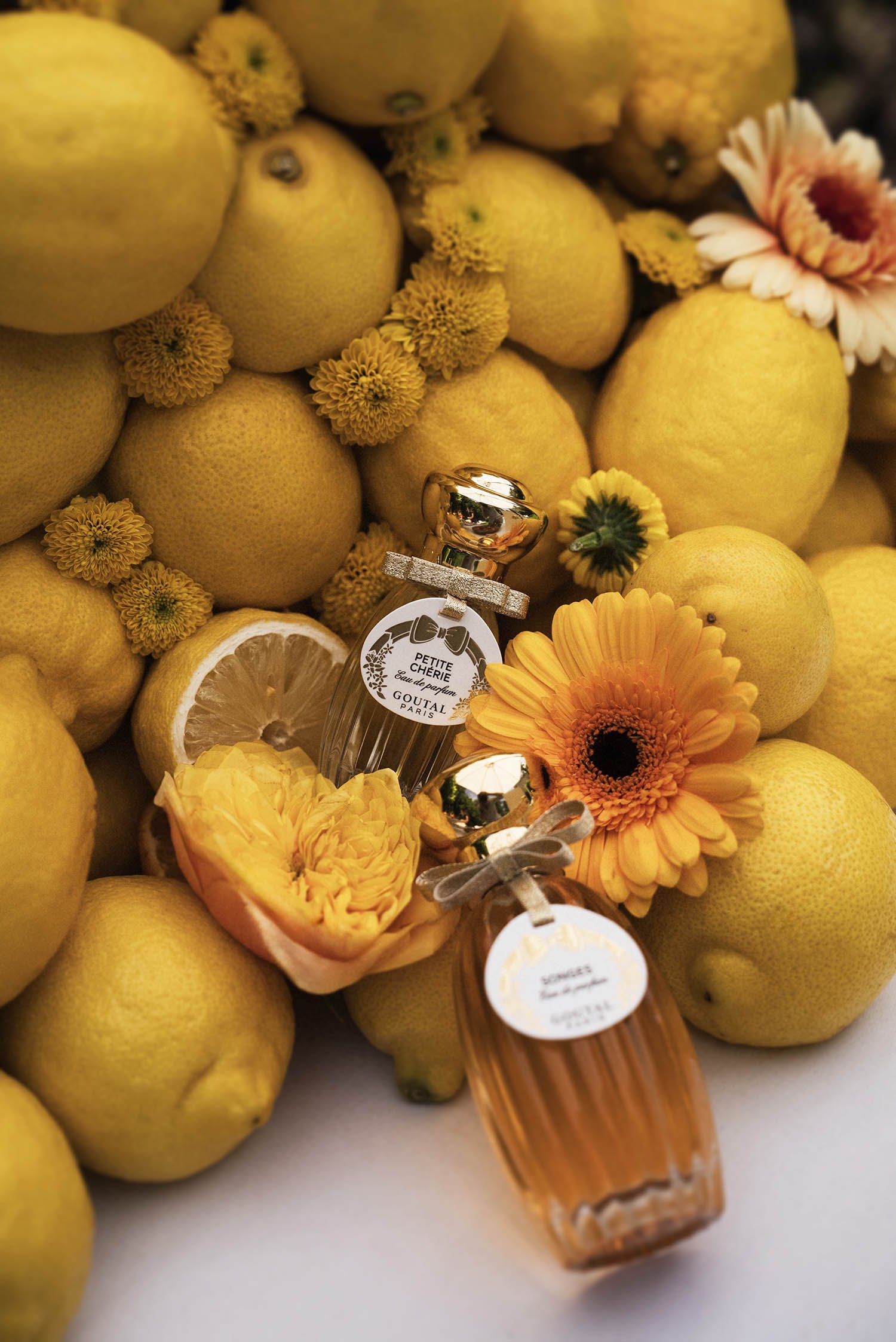 decoration-citrons-marque-goutal-mabrouk.jpg