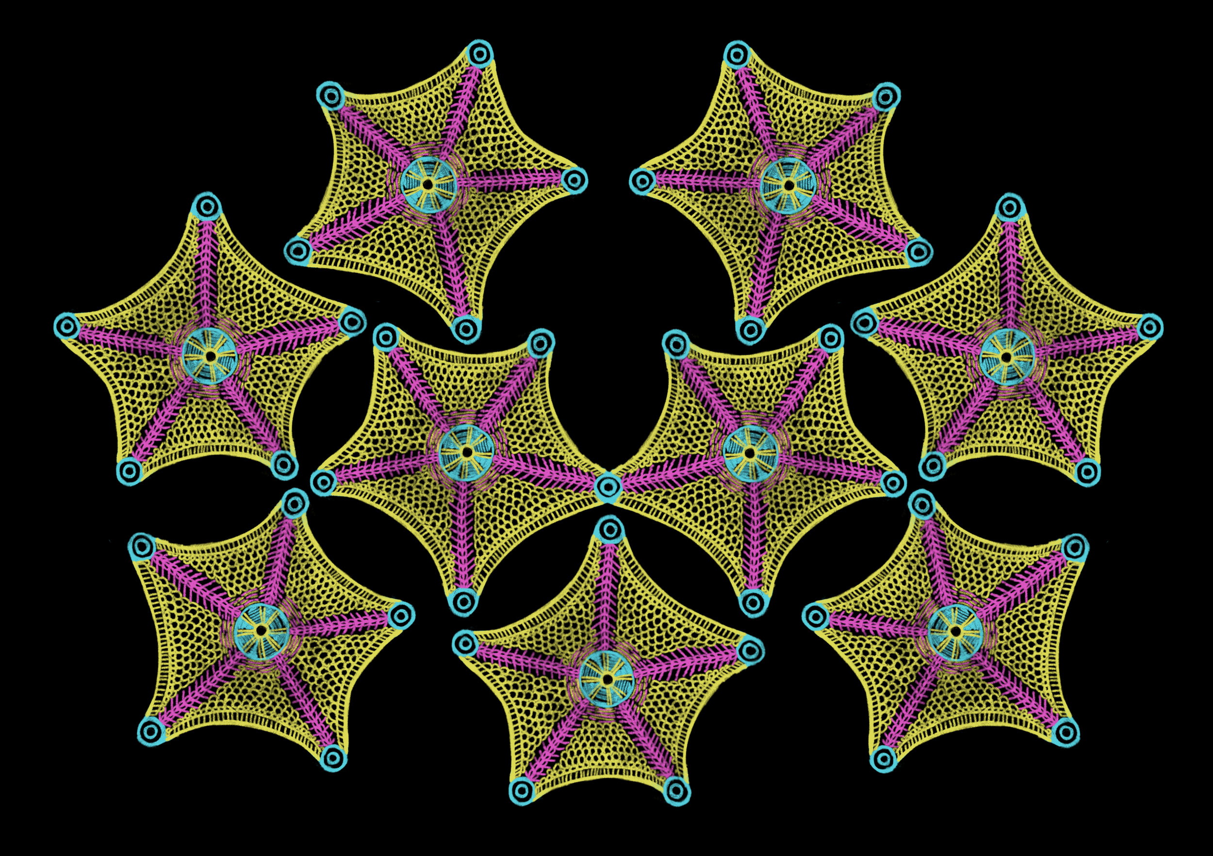 1000002535.png