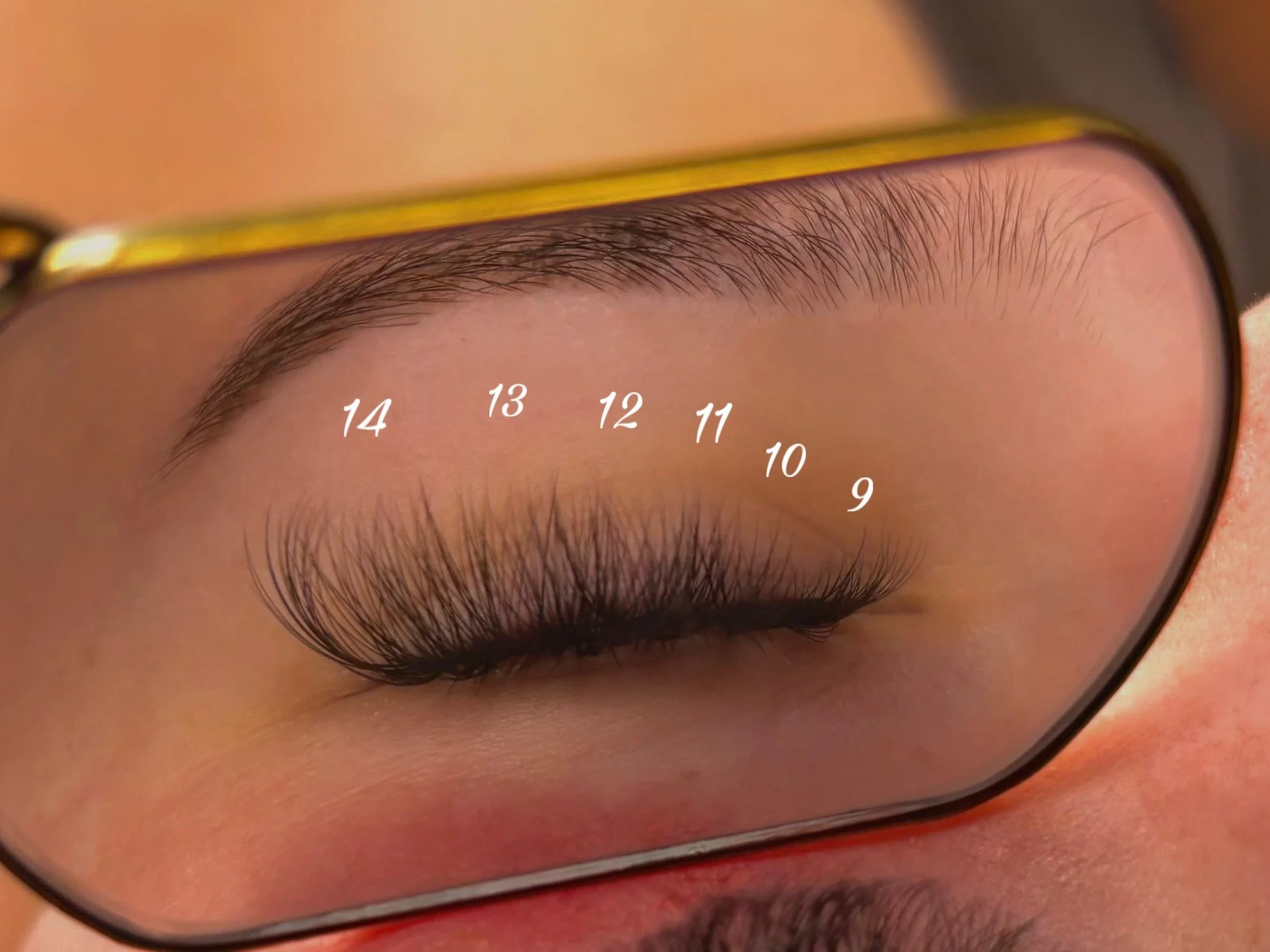 Amys Lash.jpeg