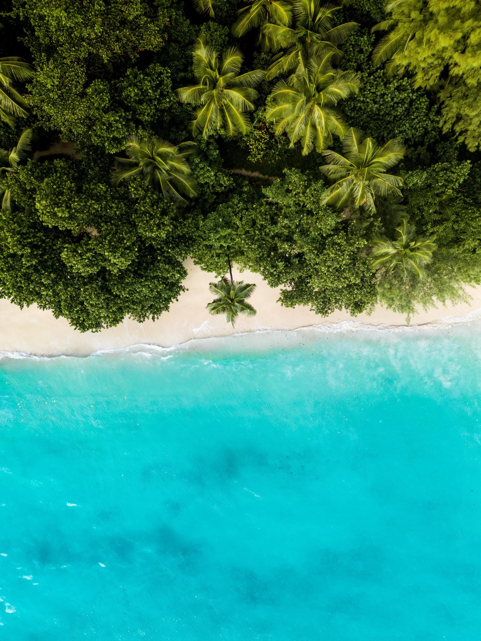 dji_fly_20240720_160610_105_1721484248608_photo 2.jpg