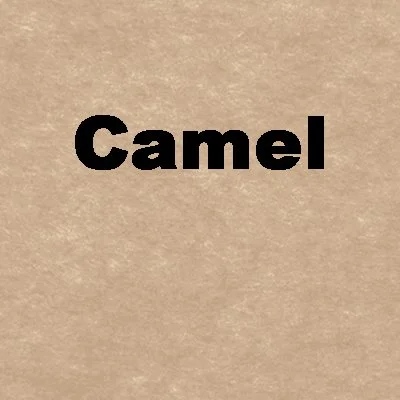 Camel.jpg