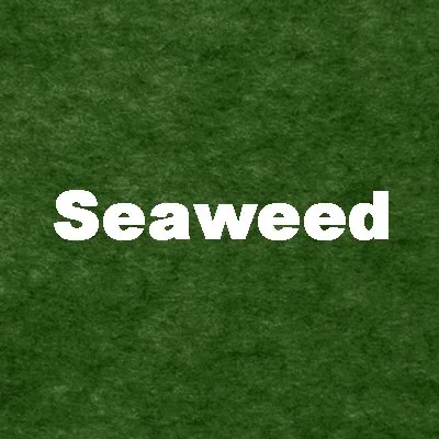 Seaweed.jpg