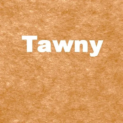 Tawny.jpg