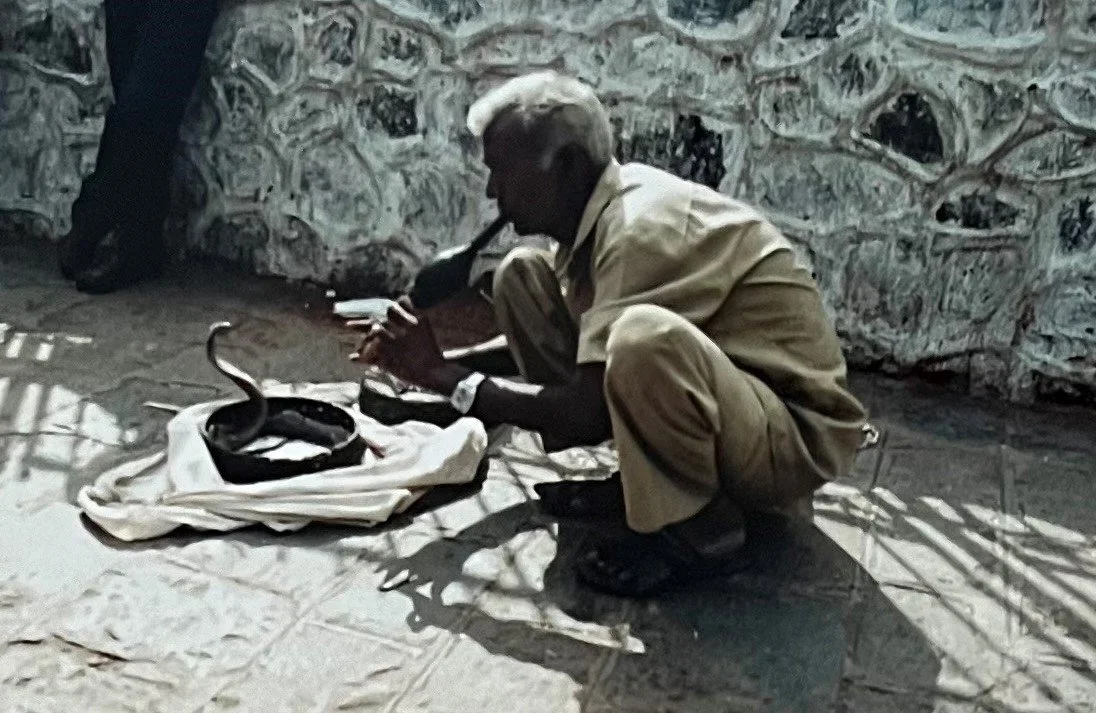 A man squatting on the ground, holding a snake and a smartphone, with a snake under a white cloth and other items nearby, against a stone wall.
