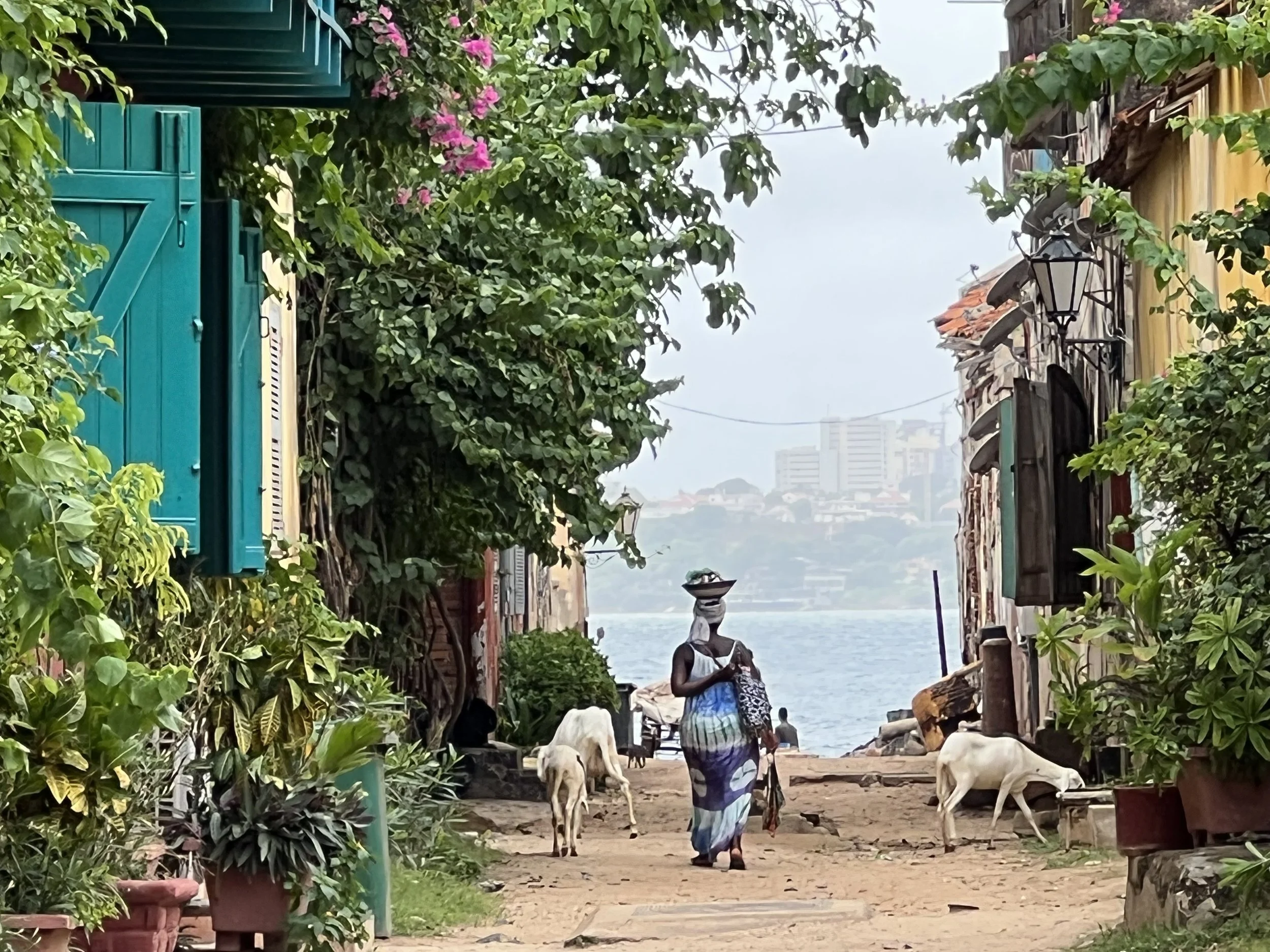 A narrow pathway between colorful, rustic buildings with lush greenery overhead, leading to a lake or river with a city skyline in the background. A woman in a flowing dress and headwrap walks along the pathway, accompanied by goats grazing nearby.
