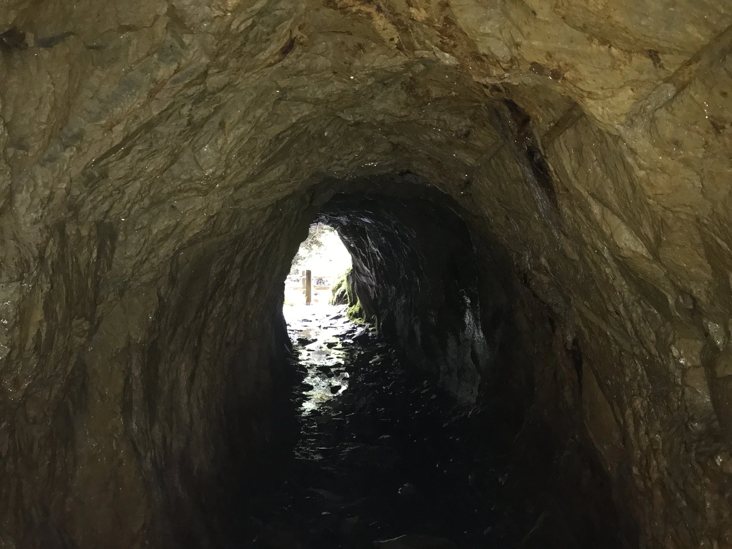 A view inside a dark, rocky tunnel with light at the tunnel's end, showing wet, uneven stone walls and a water-filled floor.