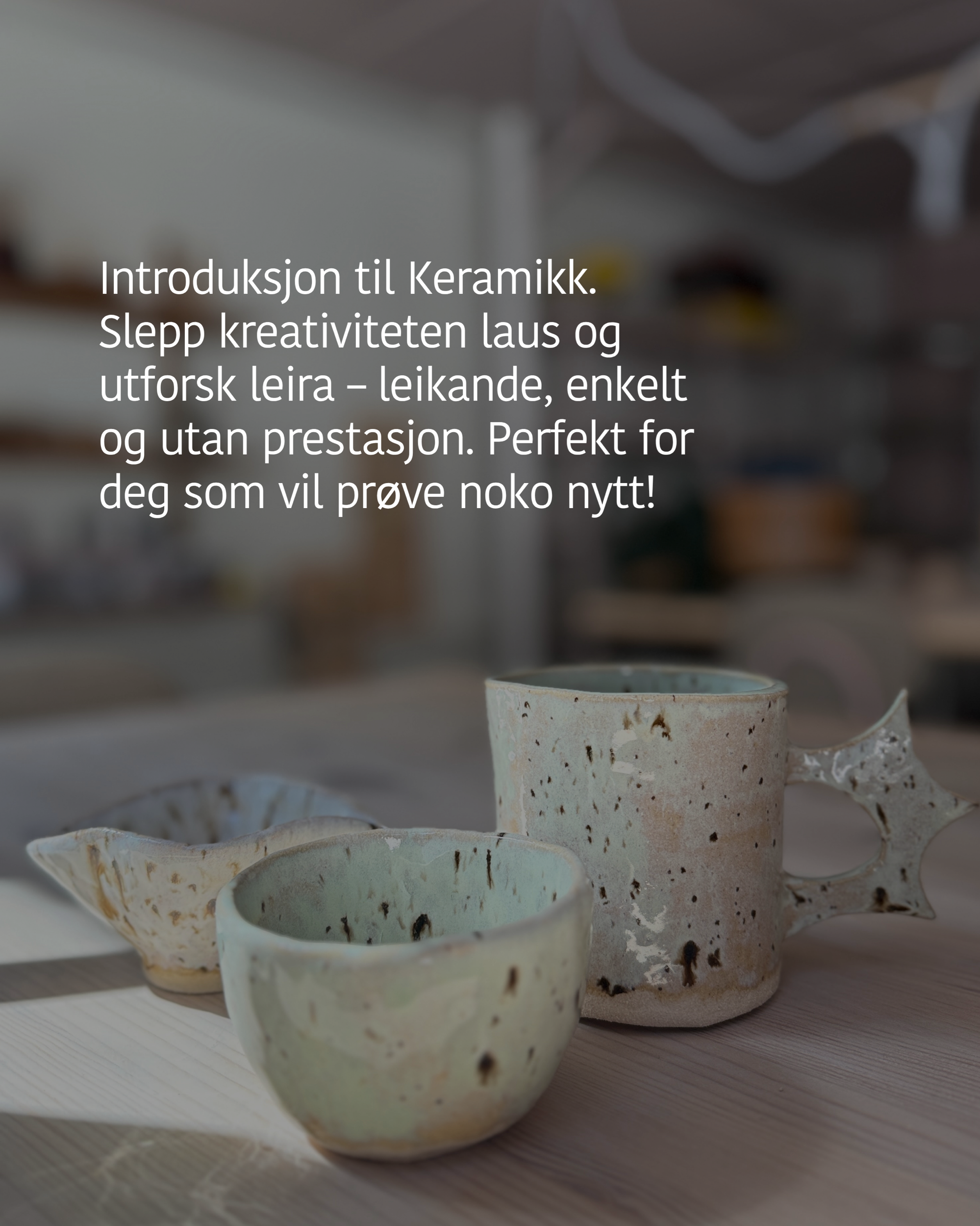 C220B421-43BF-4F14-A256-BDFD7D022951.png (Copy)