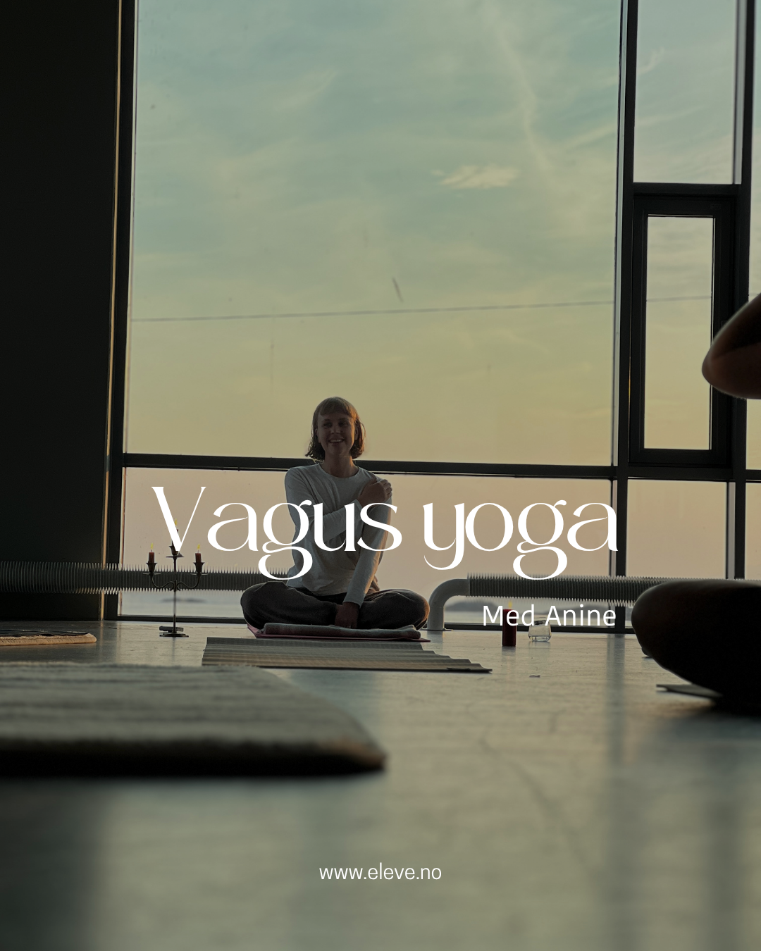 Vagus Yoga - 4 vekers kurs med Anine, august 25 kl. 10:00