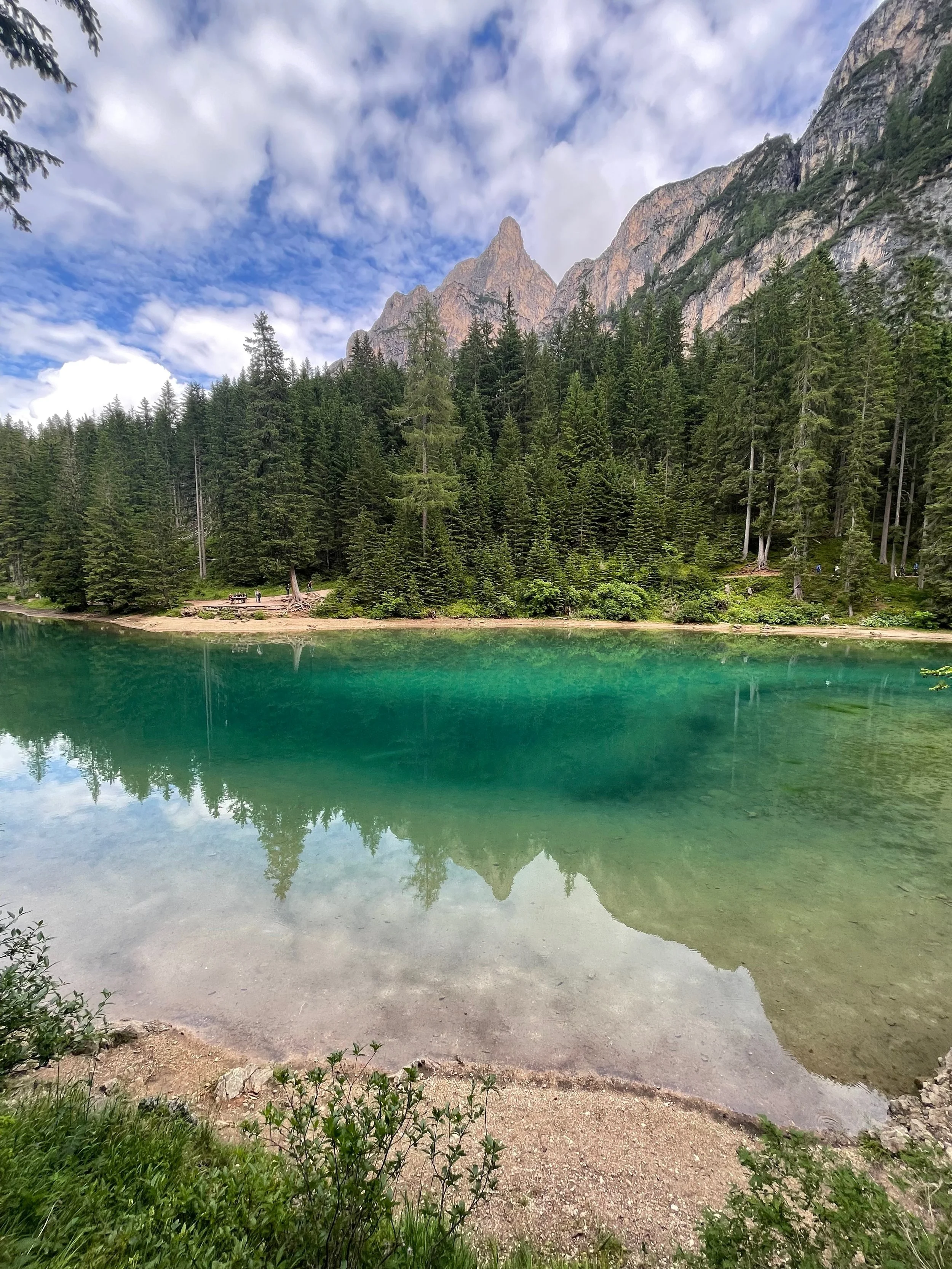 Ein klarer Bergsee mit grüner Wasseroberfläche, umgeben von einem dichten Nadelwald und hohen Bergen im Hintergrund, bei bewölktem Himmel.