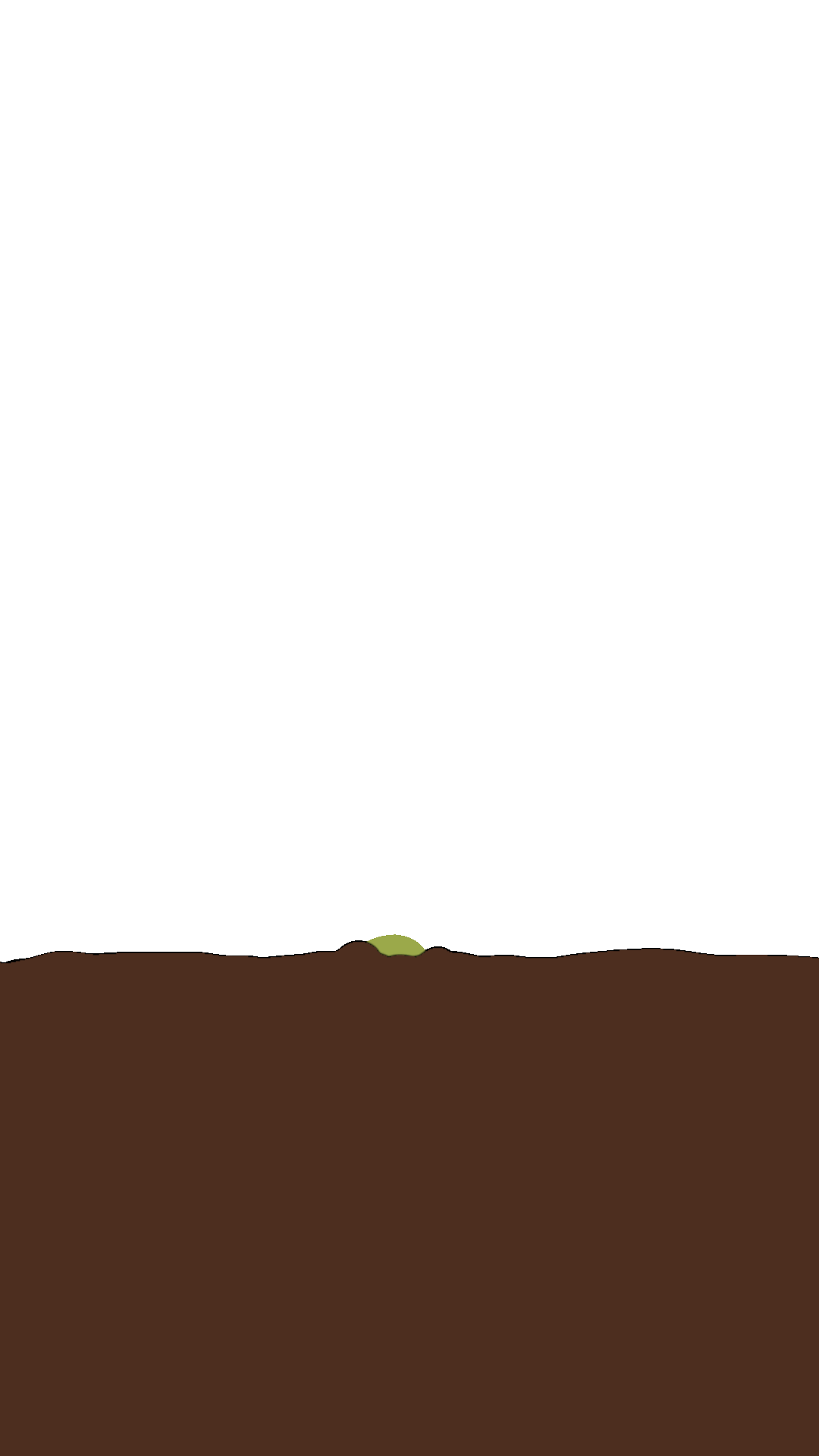 Marie Guillemot - Animation pousse