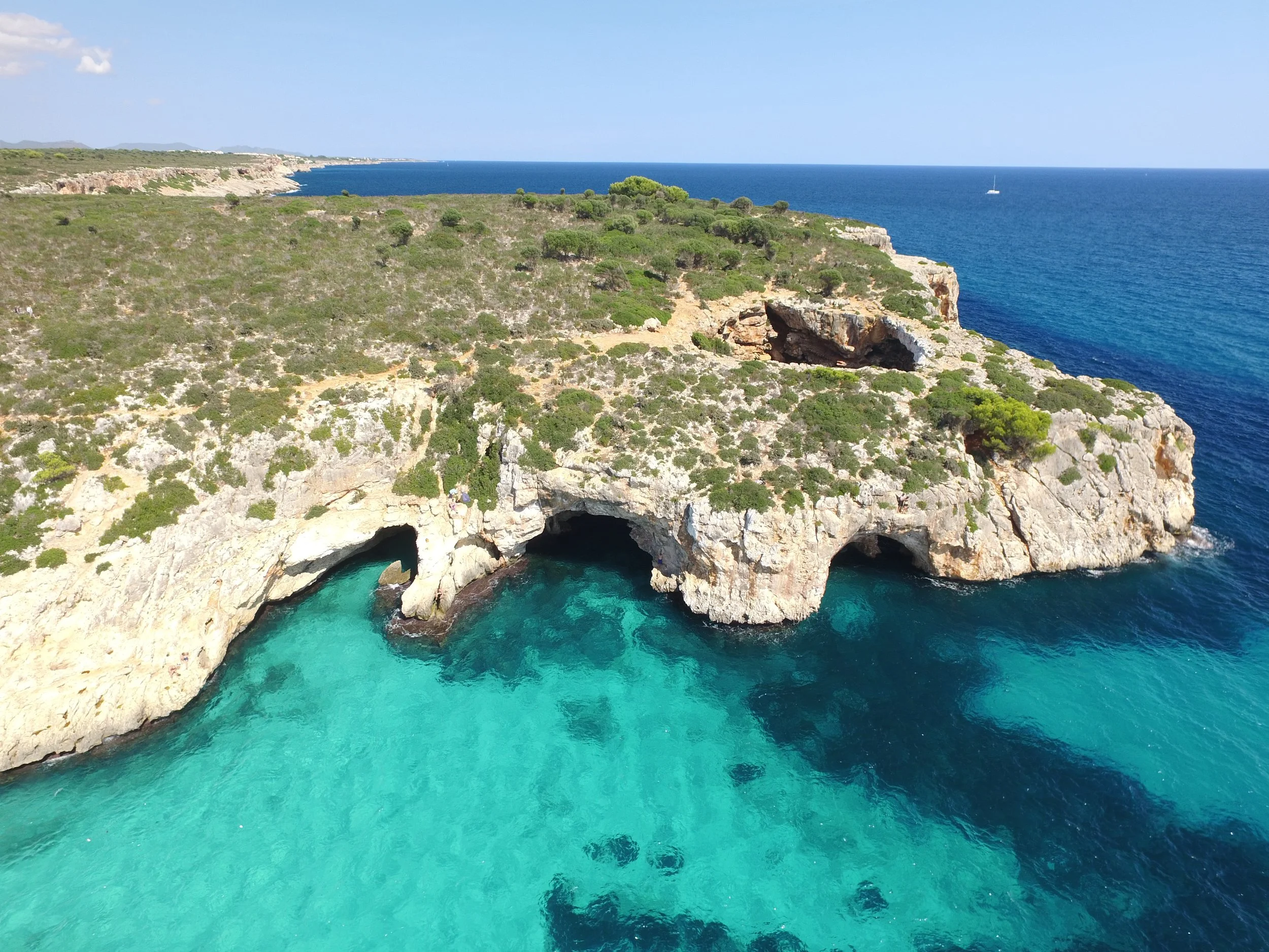 Aerial view of coastal cliffs around Llevant coast East Mallorca, with caves, clear turquoise water, and green shrubbery, overlooking the ocean.