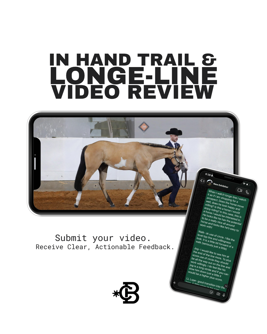 In Hand Trail & Longe-Line Video Review