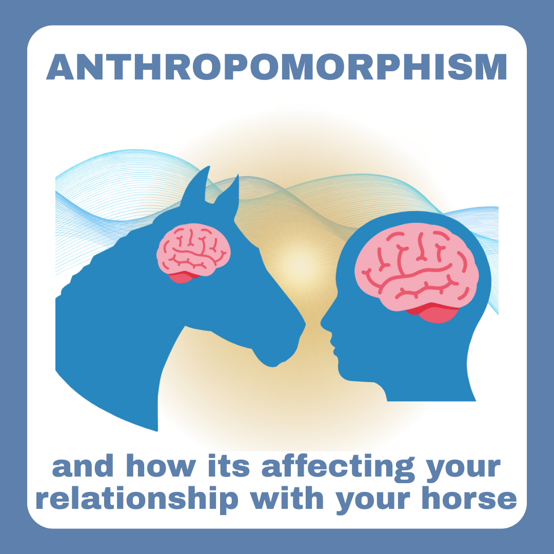 Five Ways Anthropomorphism is Affecting Your Relationship with Horses