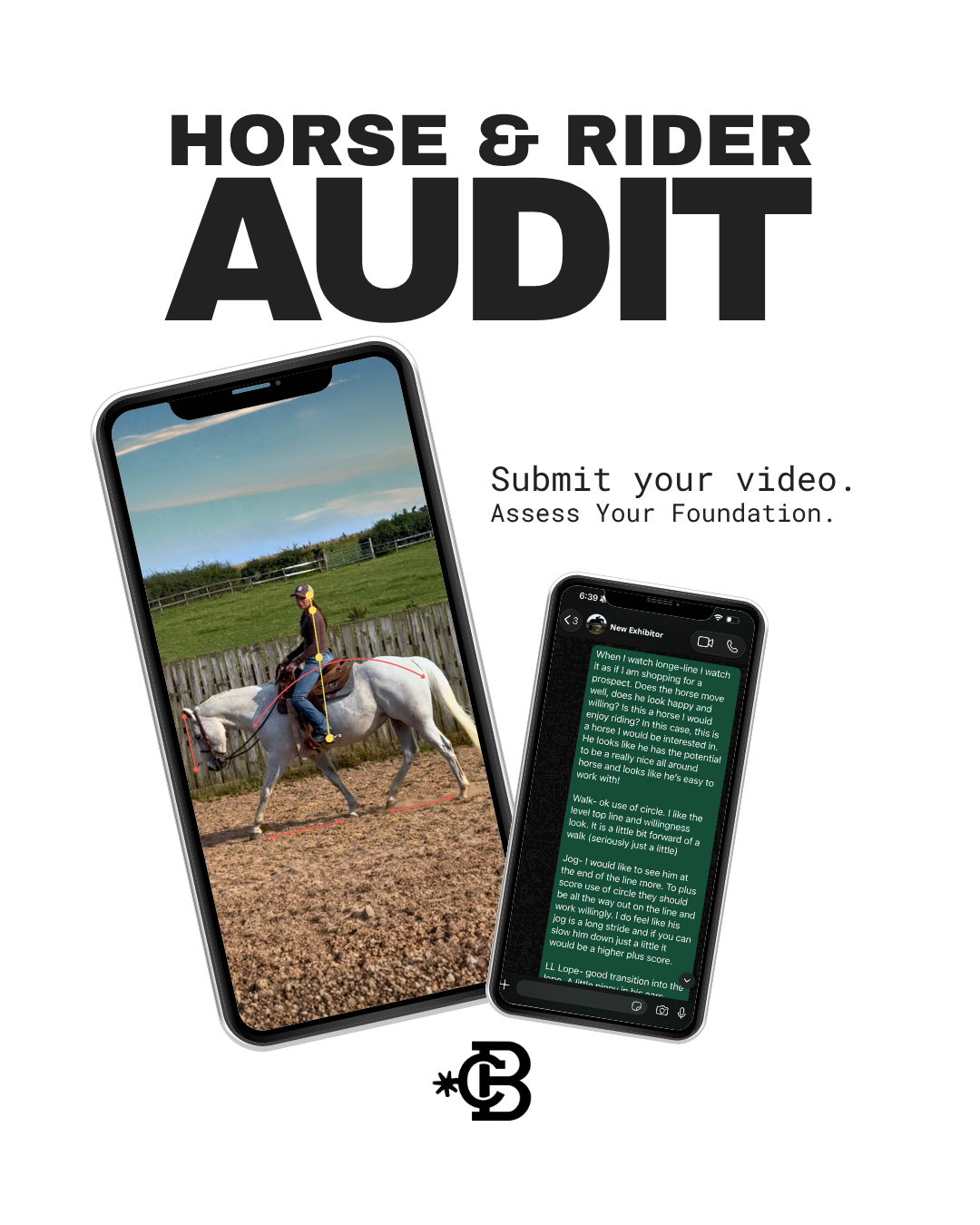 Horse & Rider Audit