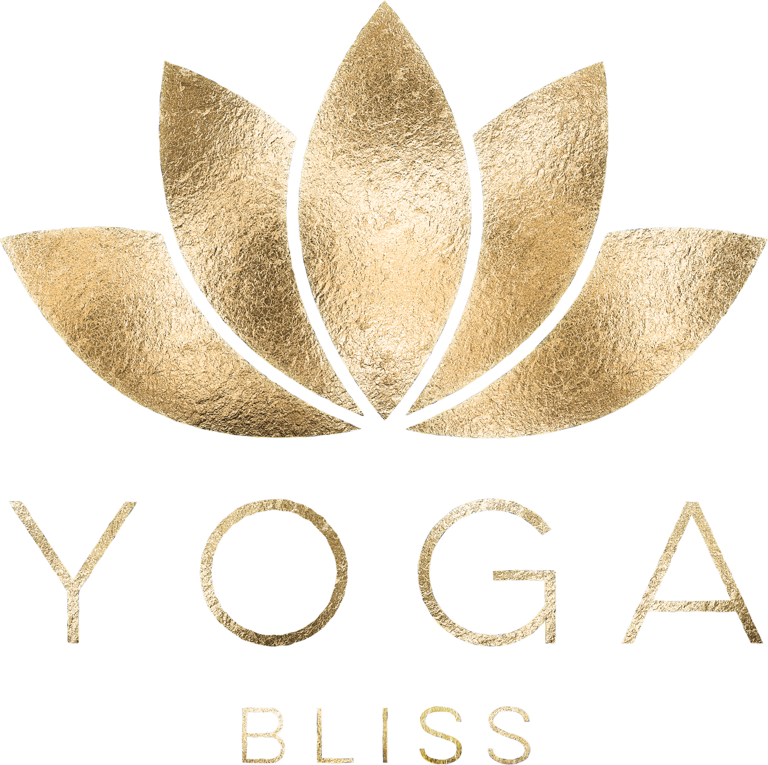 Yoga Bliss Akron
