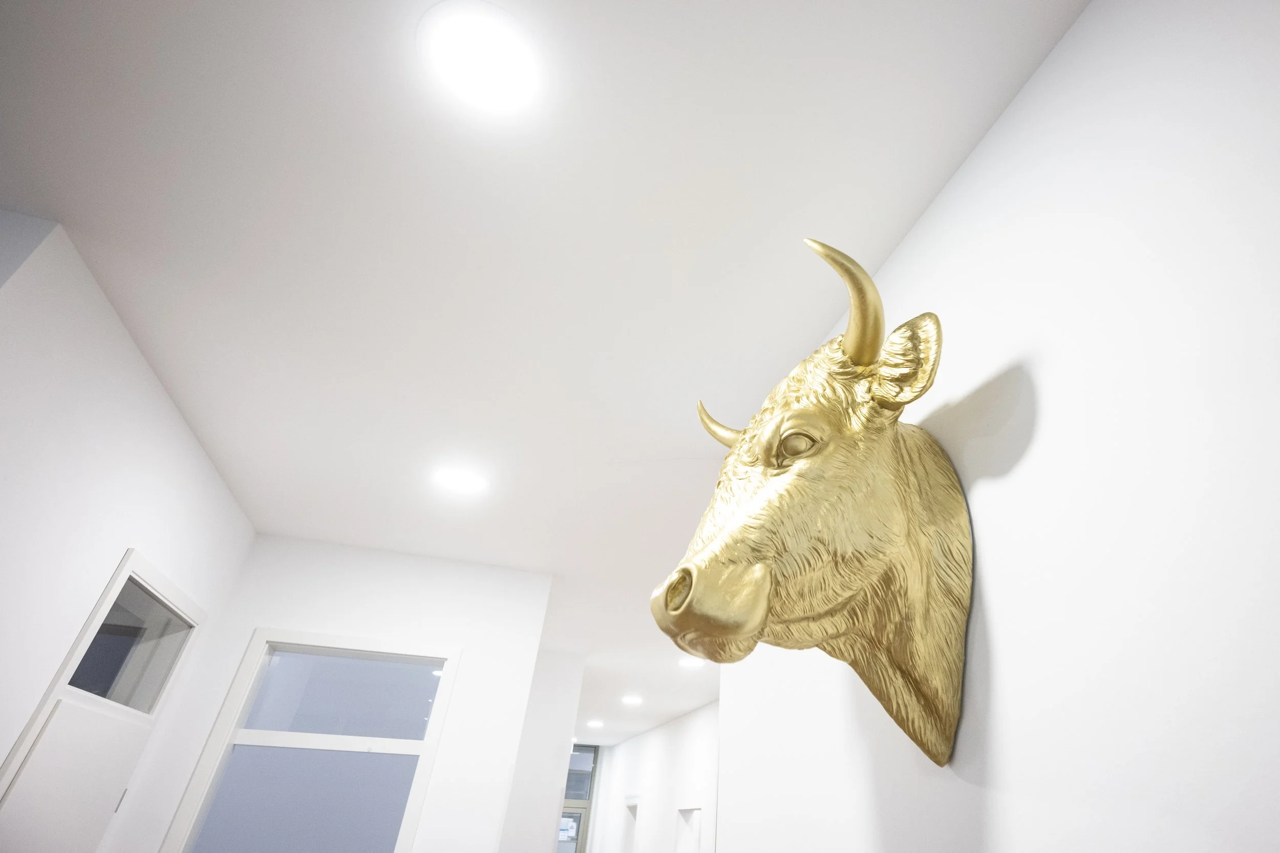 Goldene Tierkopfskulptur eines Stiers an weißer Wand in modernem Raum.