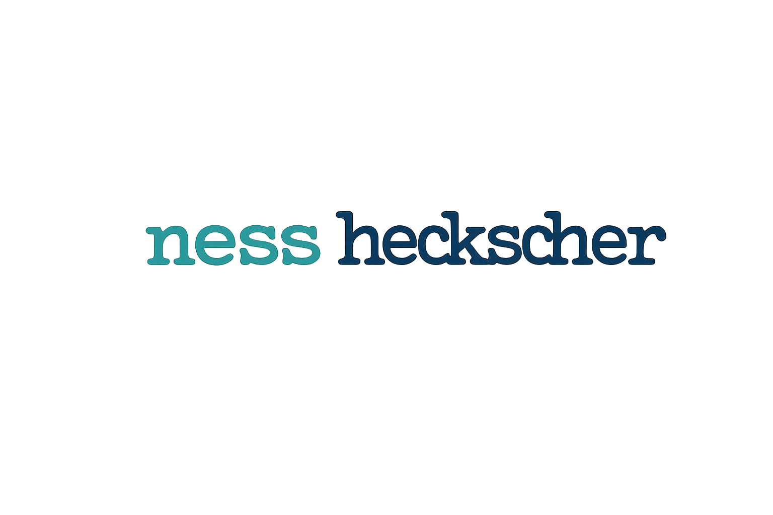 Digital illustration with the text 'ness hecksh' surrounded by abstract colorful lines and shapes.