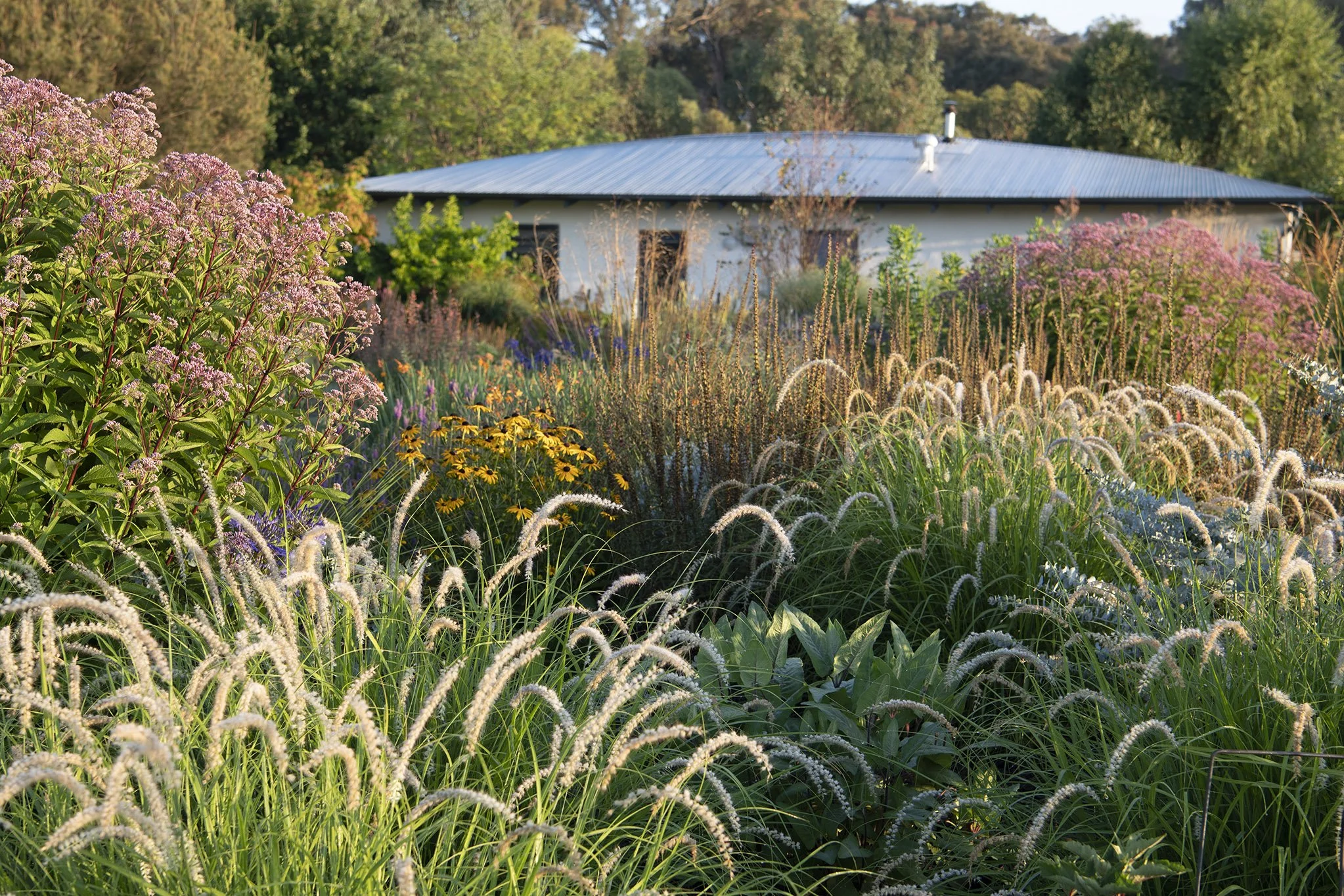 Barwitian Garden, Barwite (near Mansfield) — Open Gardens Victoria