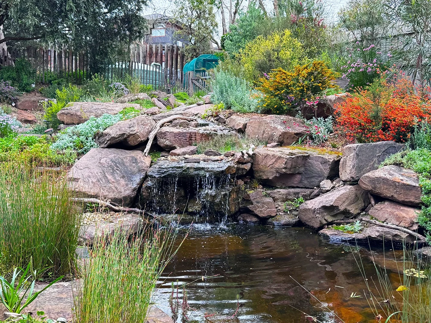 Ngamudji, Surrey Hills