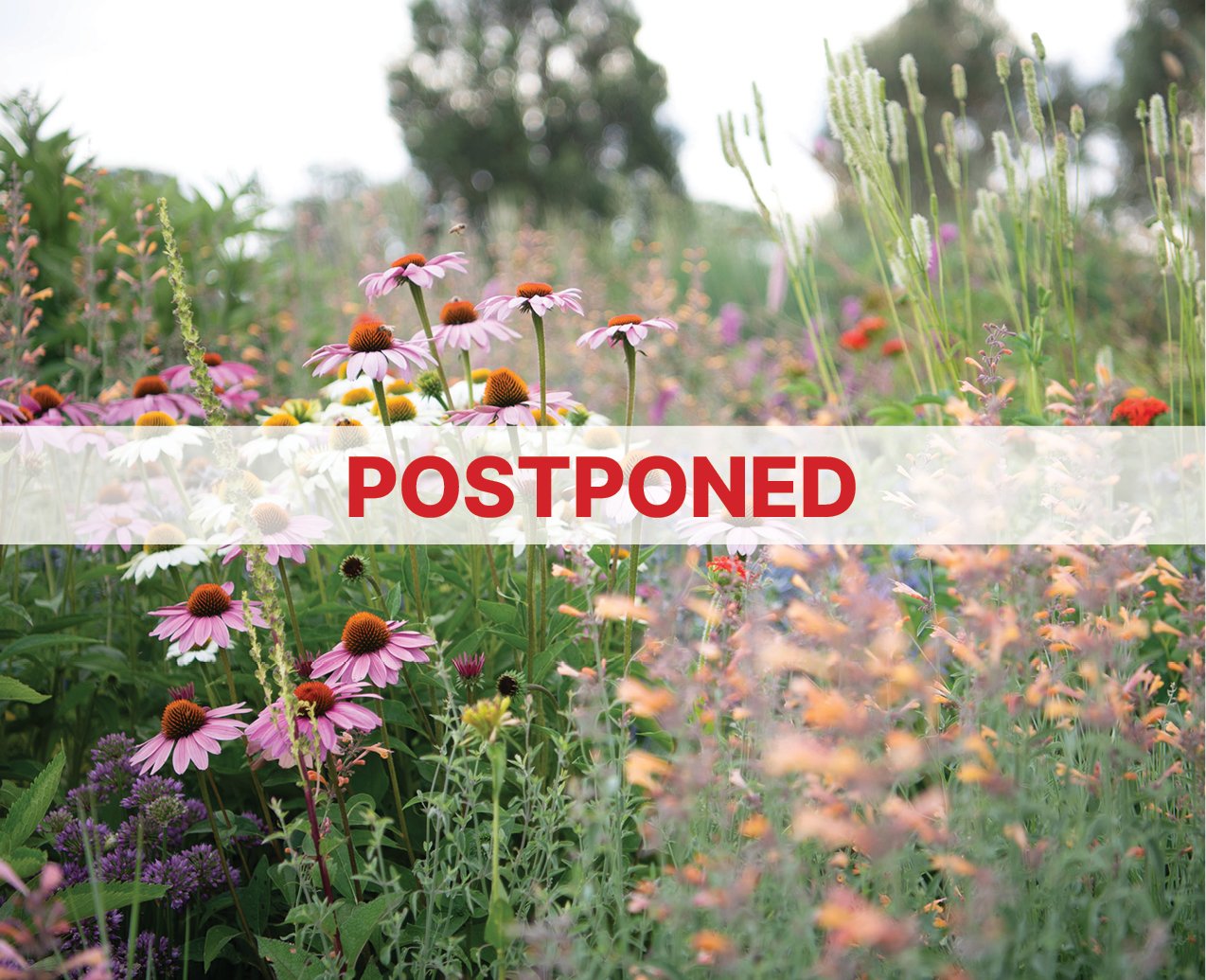 Barwitian Garden, Barwite (near Mansfield)