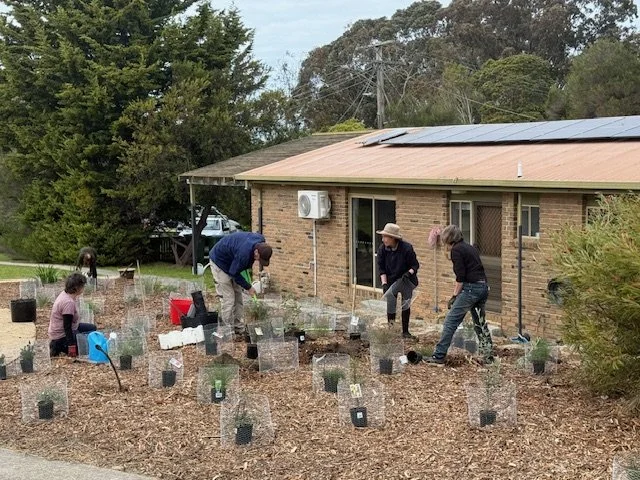 Native Garden During 2.jpeg