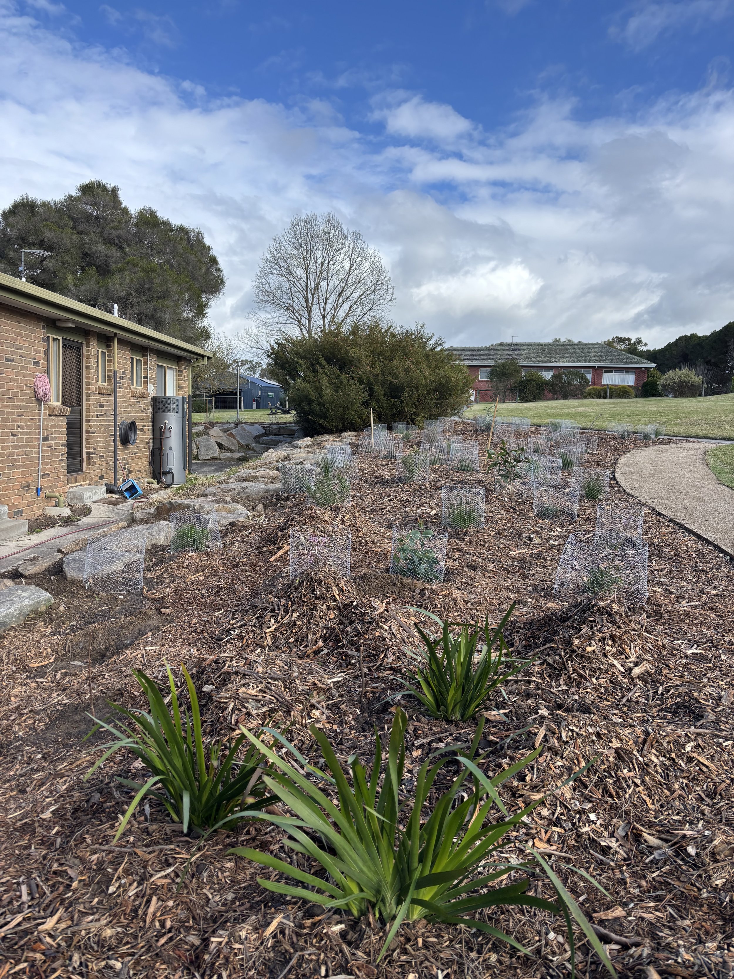 House 6 garden planted.jpeg