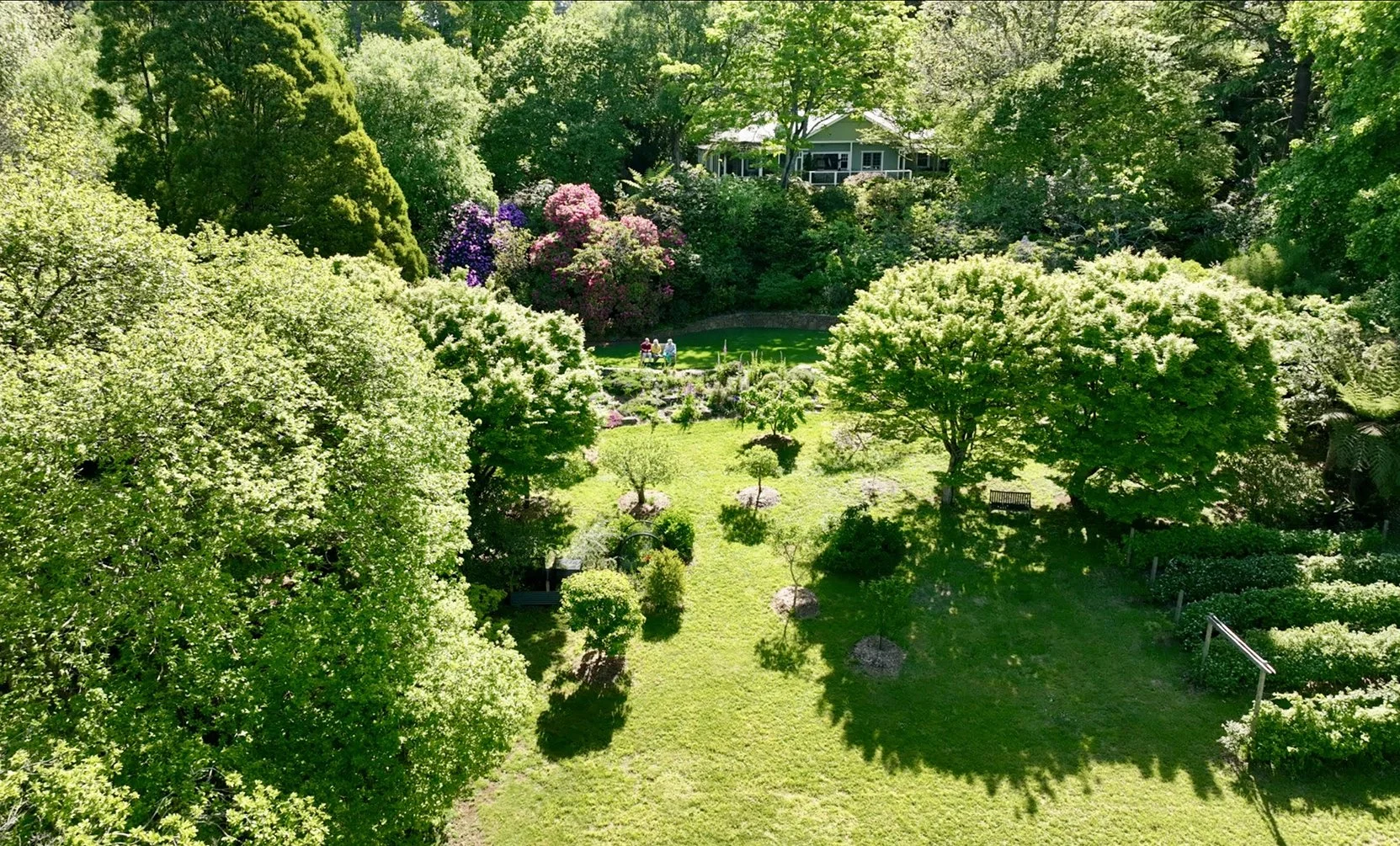 Culraven, Olinda (between Olinda and Monbulk)