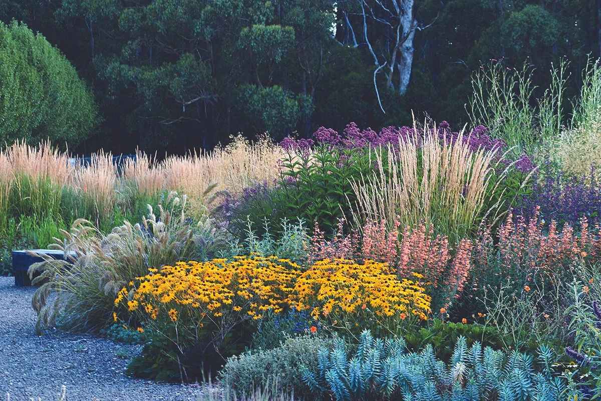 Antique Perennials ‘Beyond the Border’ (Two timed sessions 10:30-11:30 and 1:30-2:30)