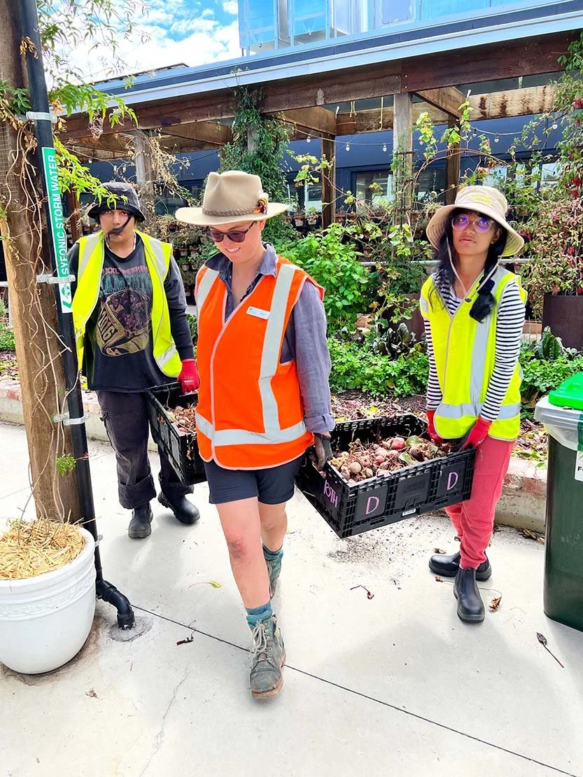 Three women in outdoor gardening or farming attire, with two wearing high-visibility vests and holding baskets of vegetables, engaged in planting or harvesting in a garden setting with plants and a building in the background.